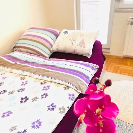 Apartman Orhideja Daire